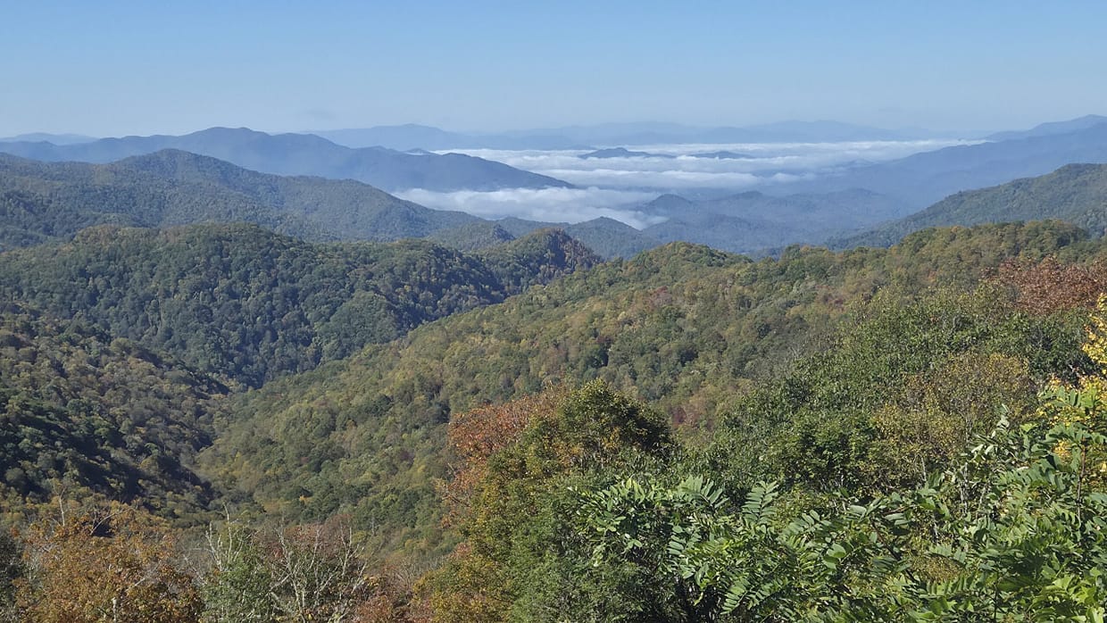 Blue Ridge Parkway Near Maggie Valley: Best Stops, Scenic Drives & Tips in Maggie Valley, North Carolina