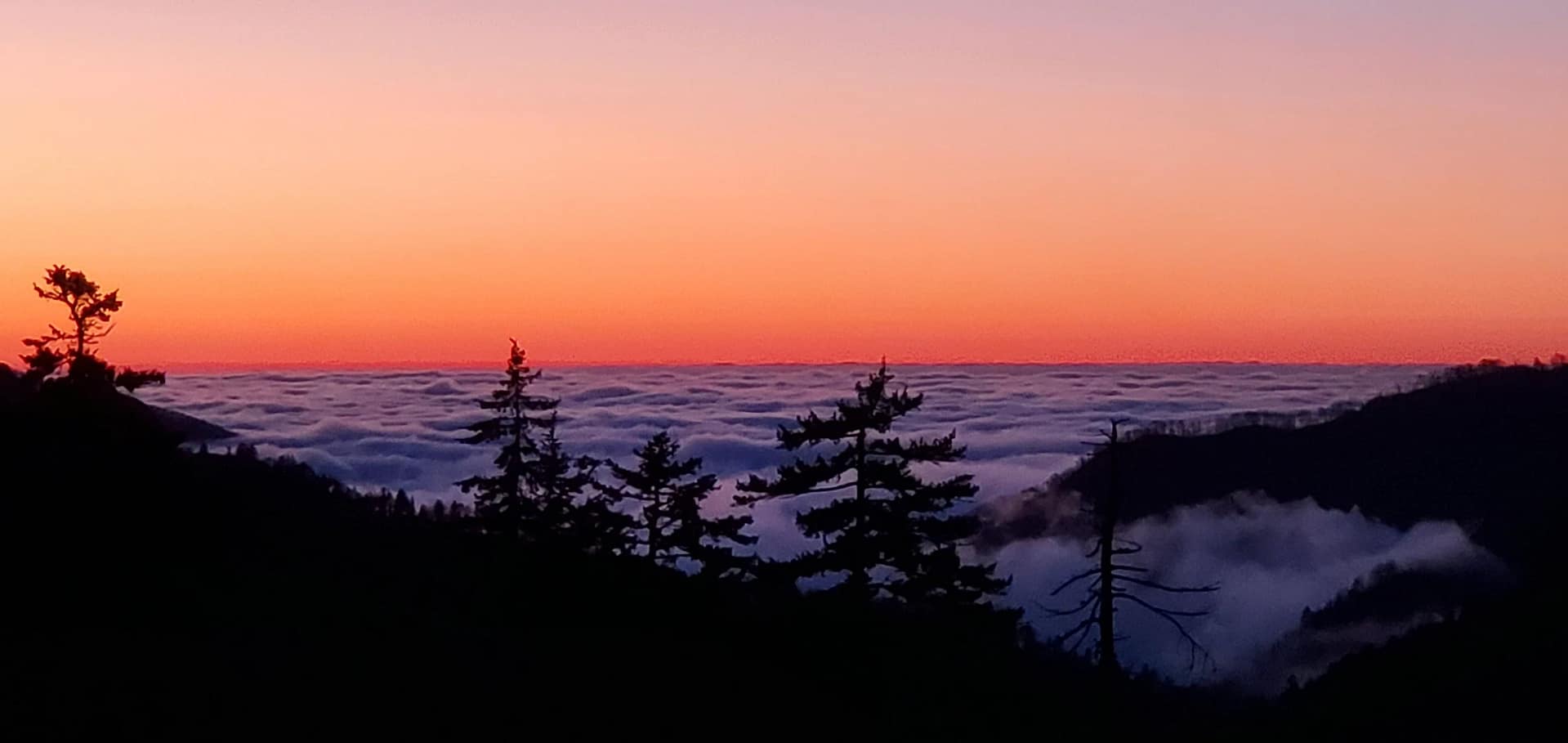 Smoky Mountain National Park