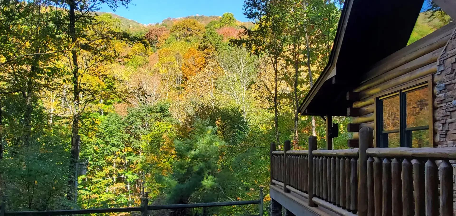 Maggie Valley Fall Foliage Guide: When to Visit & Where to Go in Maggie Valley, North Carolina