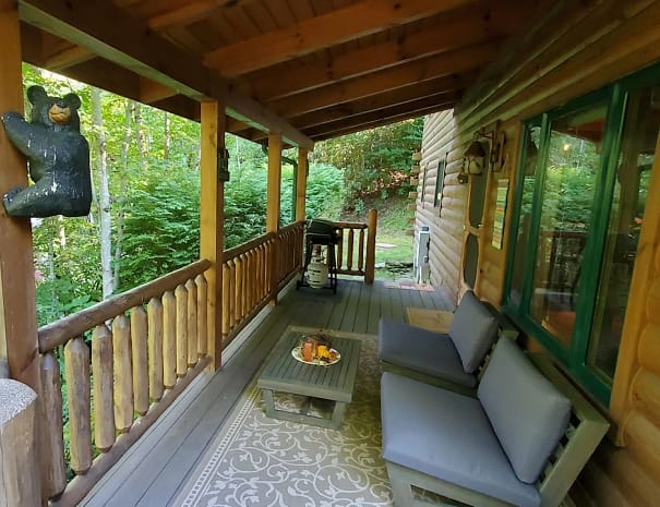 Cabin Back Porch with forest view
