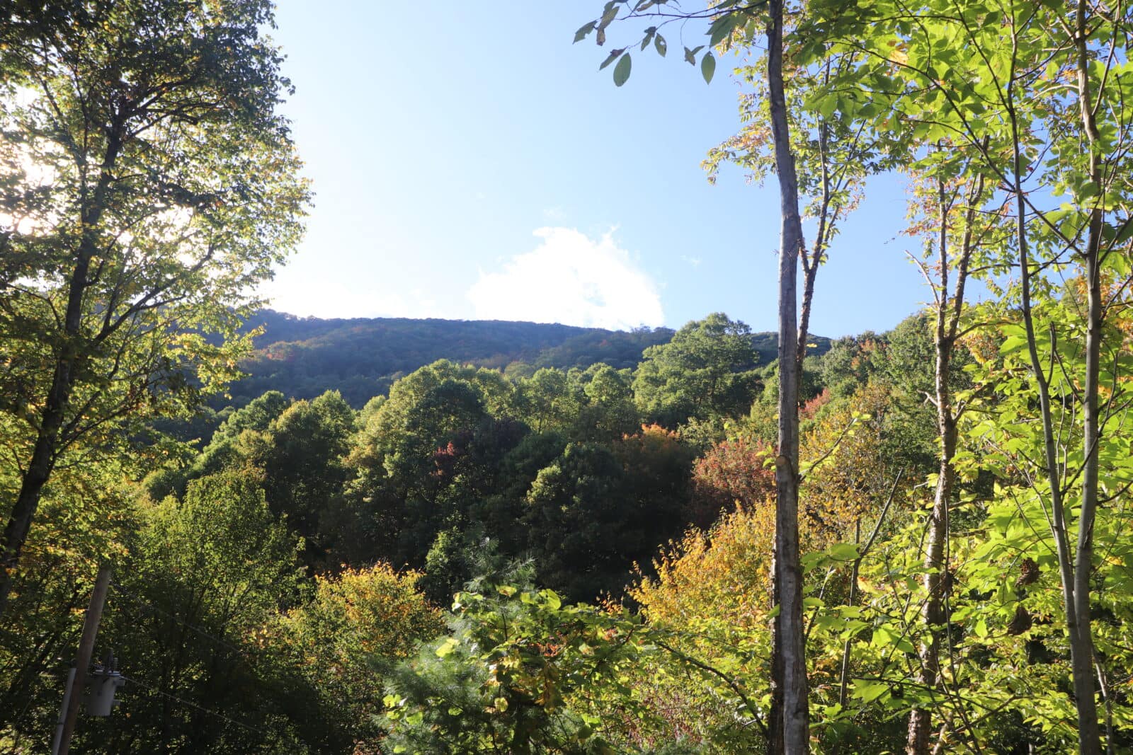 Scenic mountain view from front deck of High Hopes Cabin rental in Maggie Valley, NC